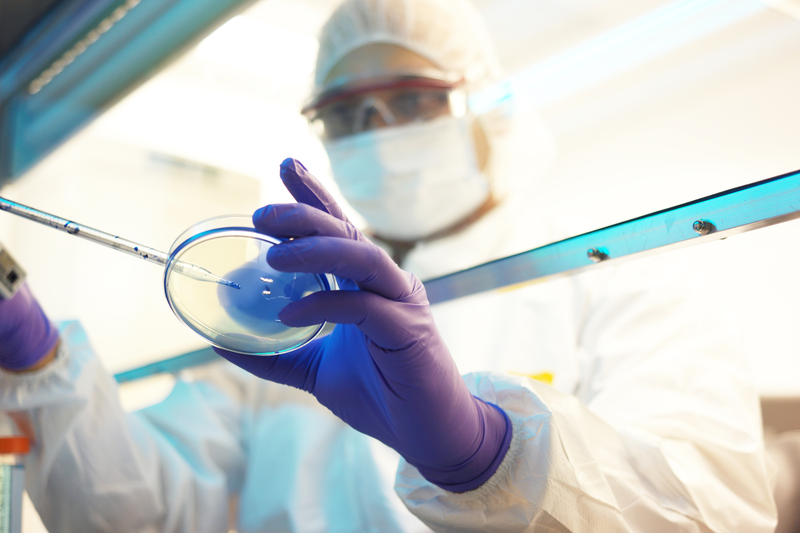 Pharma - Cell culture - iStock-530817998