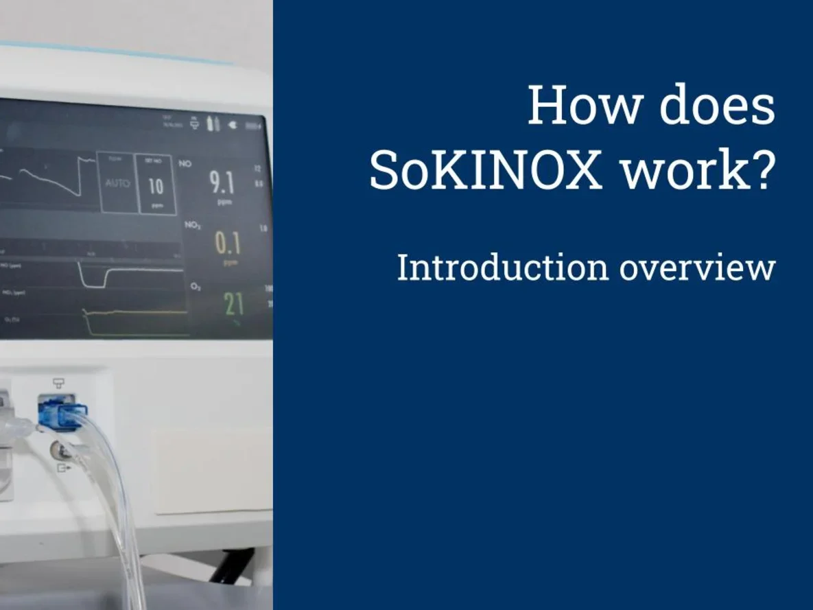 How does SoKINOX work