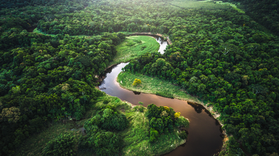 Mata Atlantica - forêt Atlantique au Brésil 