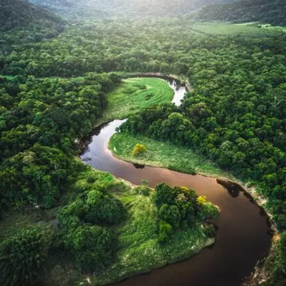 Air Liquide Healthcare Benelux réduit ses émissions de CO2 afin, entre autres, de préserver la forêt atlantique Mata Atlantica.